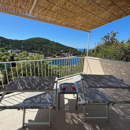 Studio Apartment Dubrovnik Exteriör bild